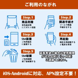 RAKUTEN回線 国内海外 プリペイドSIM...の詳細画像5