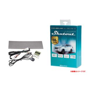 Beat-Sonic リレーアタック防御装置 Shutout RAG01