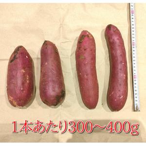 さつまいも 紅はるか 千葉県産 A級品 約4....の詳細画像2