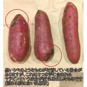 さつまいも 紅はるか 千葉県産 A級品 約4....の詳細画像3
