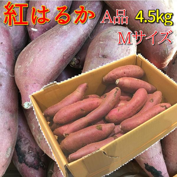 さつまいも 紅はるか 千葉県産 A級品 約4.5kg Mサイズ