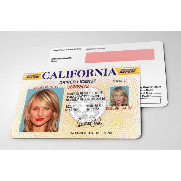 映画 女優【  キャメロン・ディアス / Cameron Diaz 2006 】 IDカード/レプリ...