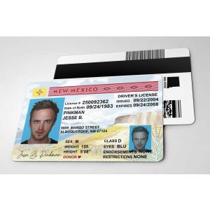 テレビドラマ【 ブレイキング・バッド/ Breaking Bad / ウォルター