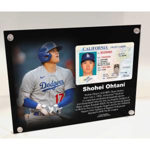 大谷ファミリー 3枚セット【 大谷翔平 田中真美子 デコピン