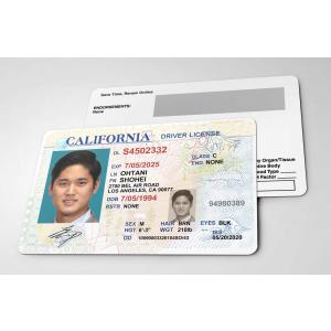 大谷ファミリー 3枚セット【 大谷翔平 田中真美子 デコピン