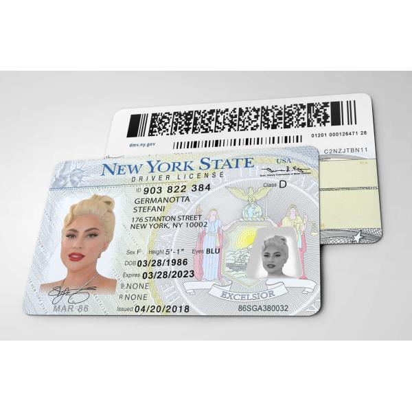 ポップ アーティスト【 レディー・ガガ / Lady Gaga  】 女優 /IDカード/レプリカ/...