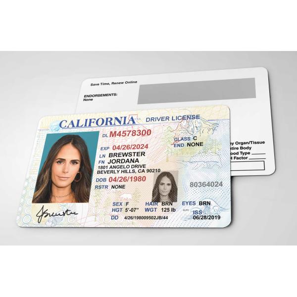 映画 女優【 Jordana Brewster / ジョーダナ・ブリュースター 】ワイルドスピード ...