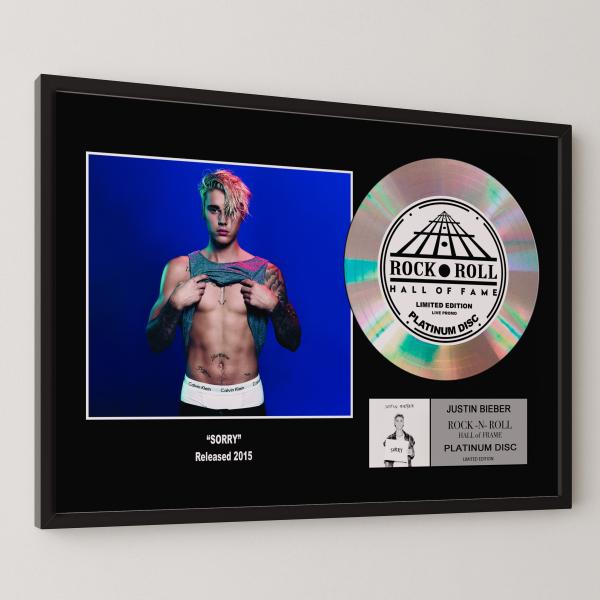 ジャスティン・ビーバー Justin Bieber ソーリー Sorry platinum disc...