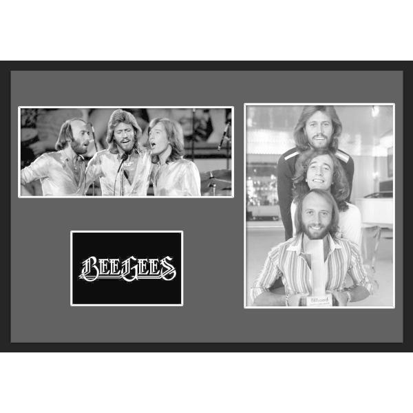 10種類!Bee Gees/ビージーズ/ROCK/ロックバンドグループ/証明書付きフレーム/BW/モ...