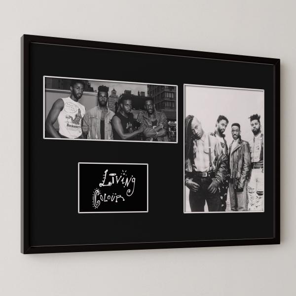 8種類!Living Colour/リヴィング・カラー/ROCK/ロックバンドグループ/証明書付きフ...