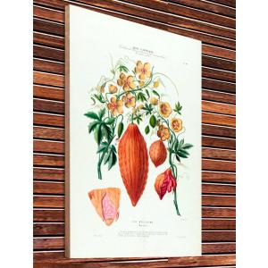 【Botanical Wood panel/ボタニカルウッドパネルアート】19世紀/1800年代頃/ヴィンテージ看板/レトロ/アンティーク風/北欧風ナチュラル-76｜cny1