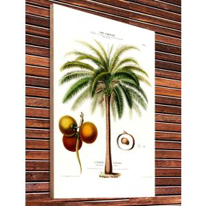 【Botanical Wood panel/ボタニカルウッドパネルアート】19世紀/1800年代頃/ヴィンテージ看板/レトロ/アンティーク風/北欧風ナチュラル-65｜cny1