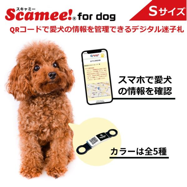 スキャミー Scamee! for dog シール5枚&amp;シリコーンプレートタグセット Sサイズ │ワ...