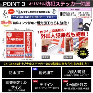 ダミー防犯カメラ (ON/OFF機能付 2個)...の詳細画像4