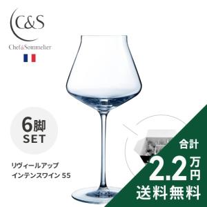 RIEDEL（リーデル） レーマン(LEHMANN) ワイングラス エノマスト