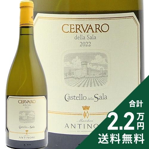 白ワイン チェルヴァロ デラ サラ 2022 カステッロ デッラ サラ（アンティノリ）