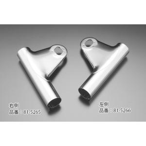 N81-5265 Z/KZ 後期型ライトステー (右側) : コースト ライン - 通販