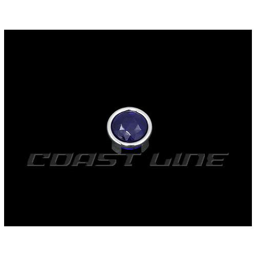 Z003176ブルードットレンズ/テールレンズ