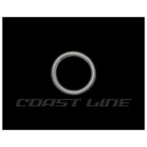 N008690トランスミッションディップステックO-ring/OEM11132｜coast-line2021