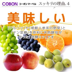 天然酵母飲料 コーボンマーベル 525ml 酵...の詳細画像5