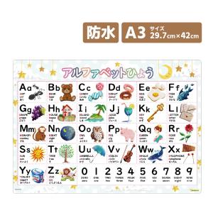 アルファベット表 ポスター A3サイズ 防水 お風呂で使える
