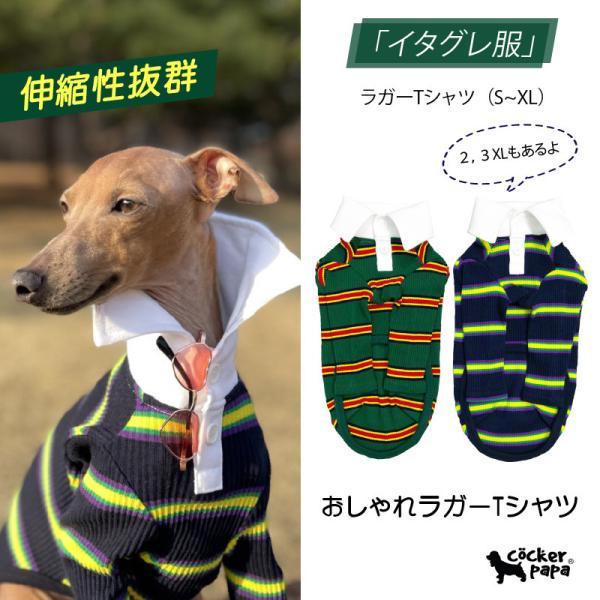 イタグレ服 ラガーシャツ S M L XL 2XL 3XL 小型犬 中型犬 大型犬 室内着 春 夏 ...