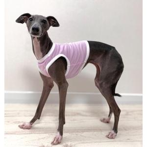 cockerpapa doggystar - イタグレ 犬服 S~XL（イタグレ服（イタリアン
