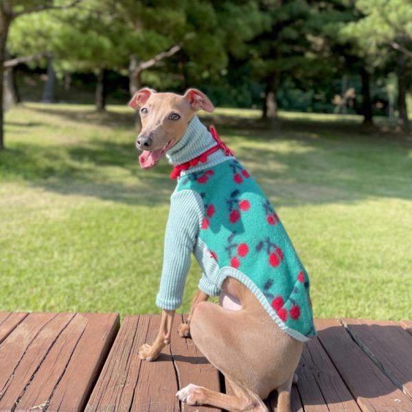 セール イタグレ 服 チェリー 長袖 ニット Tシャツ S M L XL 2XL 3XL 小型犬 中...