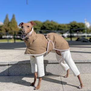 はっぴーDOG イタグレ 冬服 犬 服 犬服 いぬ 犬の服 イタリアングレー