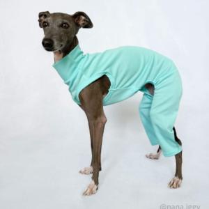 cockerpapa doggystar - イタグレ 犬服 S~XL（イタグレ服（イタリアン