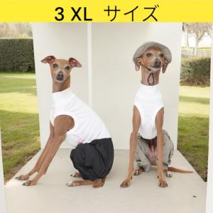 イタグレ服 ヒョウ柄 ロンパース つなぎ レオパード ゆったり ジョガー
