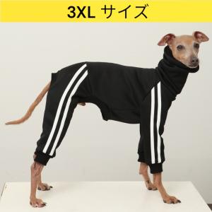 イタグレ服 ヒョウ柄 ロンパース つなぎ レオパード ゆったり ジョガー