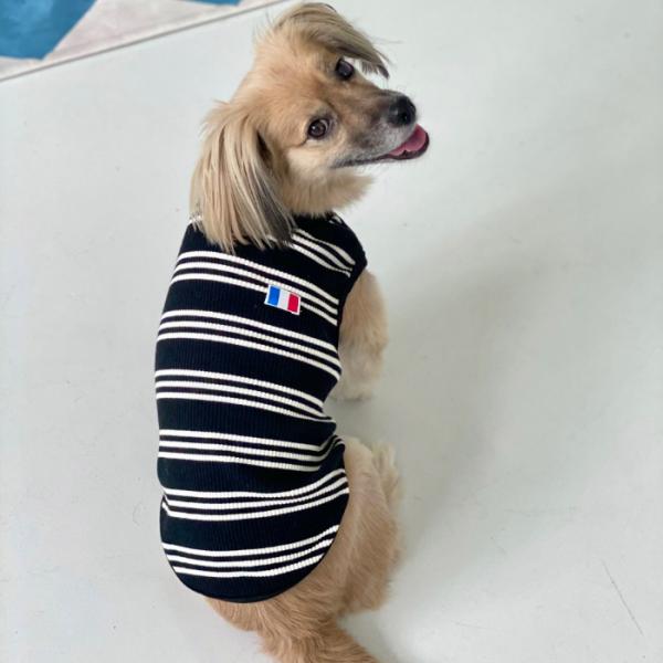 犬服 ボーダー フランス シンプル Tシャツ 小型 中型 春夏秋冬 袖なし おしゃれ doggyst...