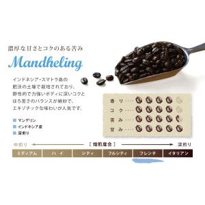 コーヒー コーヒー豆 マンデリン 珈琲豆 18...の詳細画像2