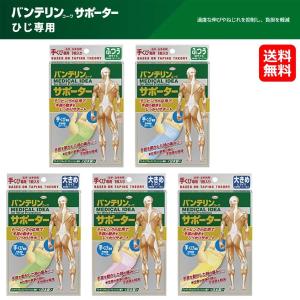 バンテリンサポーター 手くび サポーター 肘 バンテリン 野球 スポーツ おすすめ ふつう 大きめ の最安値 価格比較 送料無料検索 Yahoo ショッピング