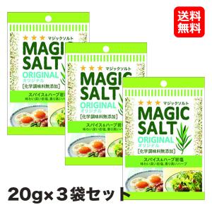 スパイス 調味料 マジックソルト 袋入り オリジナル 20g 3個 セット エスビー食品