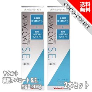 ヤクルト 薬用アパコートS.E. ナノテクノロジー 120g 2個セット 歯みがき 歯周病予防 美白｜coco-collet