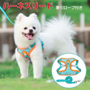 BOTTEGA VENETA（ボッテガ・ヴェネタ） 激レア ボッテガ ヴェネタ