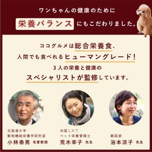 ココグルメ(100g×2個) おためし 犬 ウ...の詳細画像5