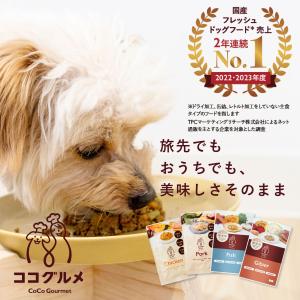 CoCo Gourmet（ココグルメ） ココグルメ・レトルト(50g×12個) 手作り