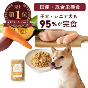 ココグルメ(チキン,100g×16) 手作りドッグフード 国産 無添加 シニア犬  総合栄養食 ウェットフード ご飯 ごはん