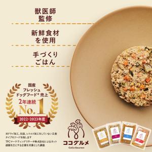 ココグルメお試し(100g×4) 手作りドッグフード 国産 無添加