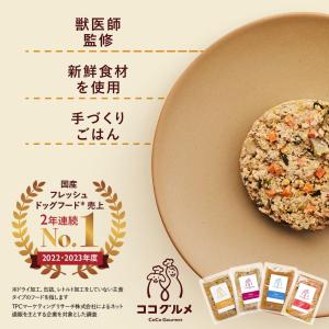 ココグルメ(100g×12個) 手作りドッグフード 国産 無添加 総合栄養食 ウェットフード ご飯 シニア犬｜ココグルメYahoo!ショッピング店