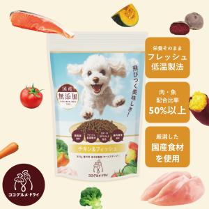 CoCo Gourmet（ココグルメ） ココグルメ・ドライ(850g×1個) おためし