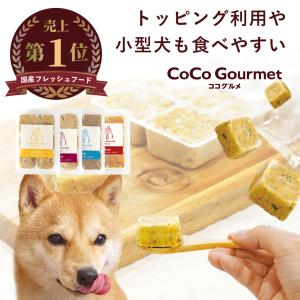 ココグルメ・プチ(約20g×36個) 手作りドッグフード 国産 無添加 総合栄養食 ウェットフード ご飯 シニア犬