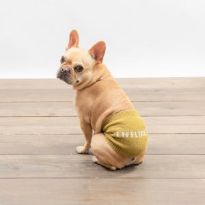 LIFELIKE ライフライク 2021 秋 冬 犬 犬服 ドッグウェア ロゴはらまき 腹巻 防寒 Sサイズ