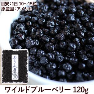 野生種 ブルーベリー 120g ぶるぅべりぃ アメリカ産