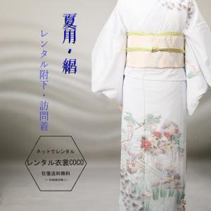 D248 夏着物　訪問着　紫陽花　絽　正絹　極美品 レンタル衣裳 夏用 紫陽花柄レンタル絽附け下げ MからL 7月 8