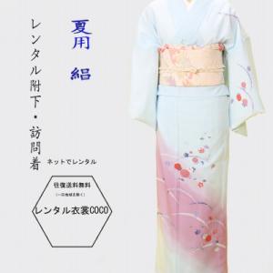 D248 夏着物　訪問着　紫陽花　絽　正絹　極美品 レンタル衣裳 夏用 紫陽花柄レンタル絽附け下げ MからL 7月 8