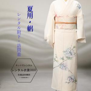 レンタル衣裳　夏用 紫陽花柄レンタル絽附け下げ